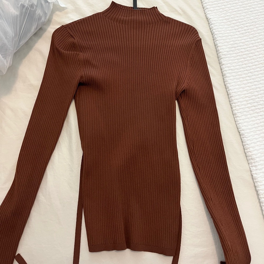 Babaton turtleneck sweater